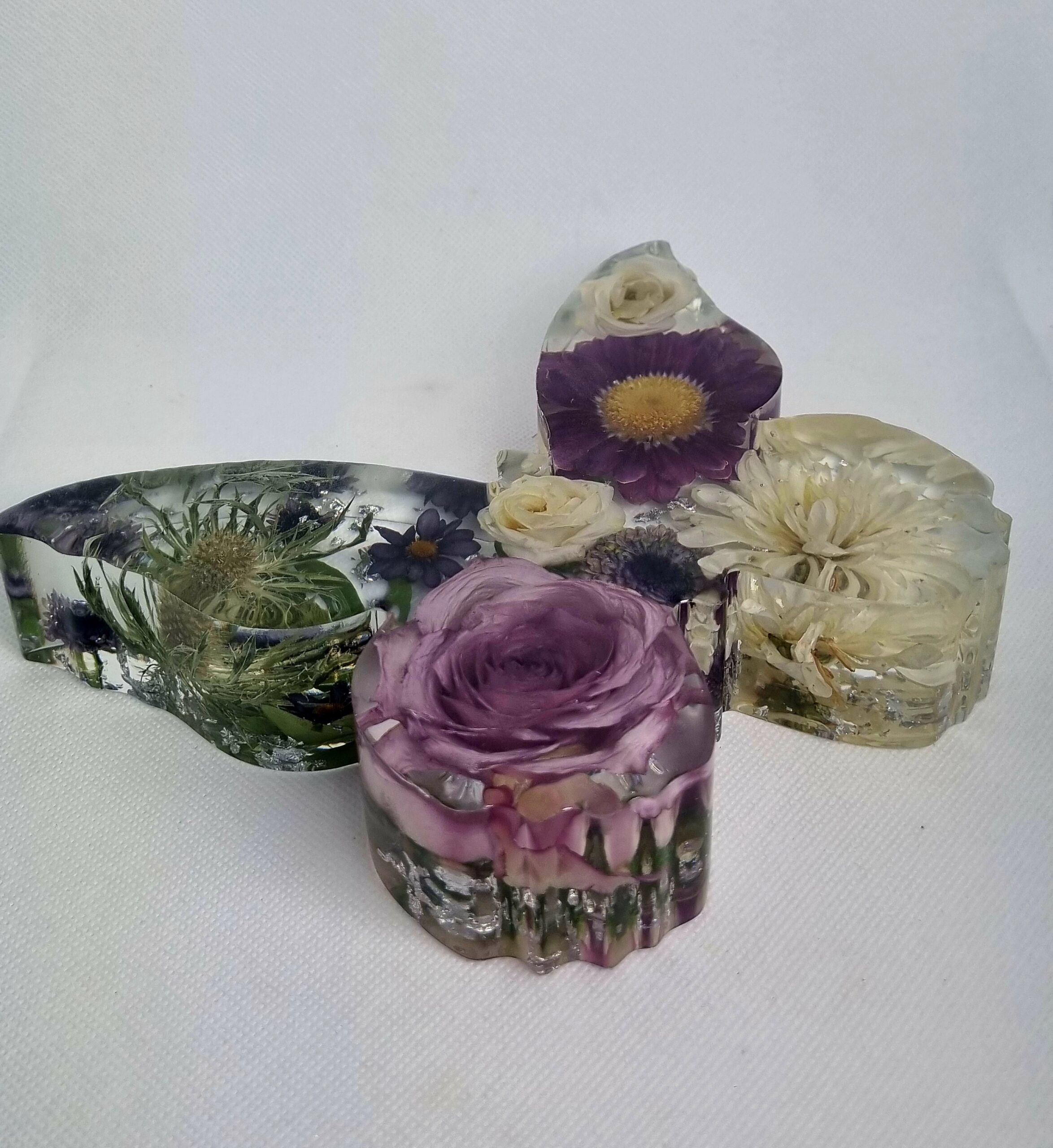 Flower Preservation Butterfly